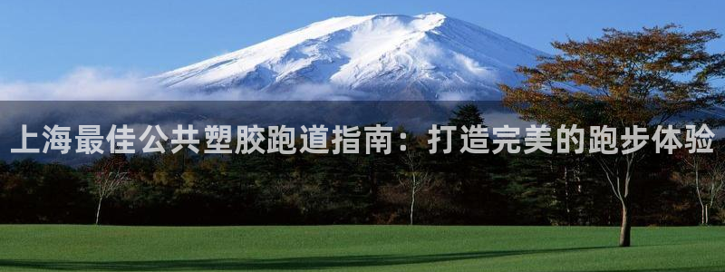 尊龙手机官方客户端下载：上海最佳公共塑胶跑道指南：打造完美的